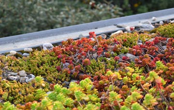 the cost of Woodminton green roof installation