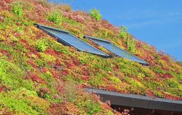 Woodminton living roof systems