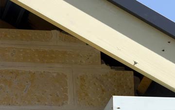 soffit repair Woodminton